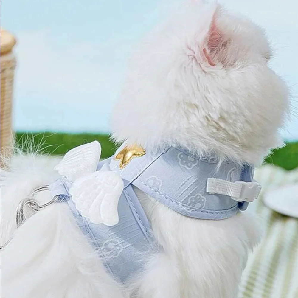 2pc Wing Decor Pet Harness & Leash 🐈